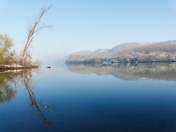 En cette fin d'hiver, il arrive parfois que les bords du Rhône se retrouvent saupoudrés de neige. En cette fin d'hiver, il arrive parfois que les bords du Rhône se retrouvent saupoudrés de neige.