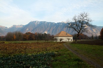 Ferme rénovée près du Rhône / © Alessandro Staehli