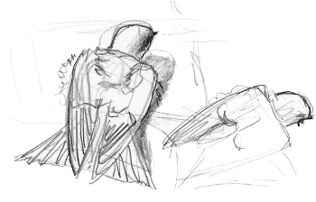 « Hirondelles de fenêtre penchées, bec ouvert, queue étalée, œil à demi fermé… » Elles prennent un bon bain de soleil. / © Jean Chevallier