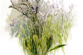 La lavande de mer, aussi appelée saladelle, est une vivace de 60 cm environ que l'on retrouve dans les prés salés. Contrairement à sa cousine provençale, elle n'a pas de parfum marqué. / © Denis Clavreul