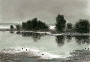 La lune fait briller un plan d'eau et met en évidence quelques sarcelles endormies.