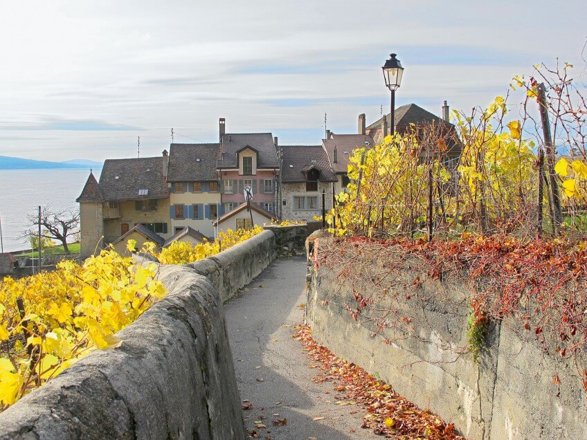 La route serpente entre les vignes de Lavaux