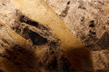 La surface plane de ces quelques m2 de paroi des mines de Bex n'est autre que le fond de la mer Thétys, dont un bras séparait alors l'Europe de l'Afrique il y a 200 millions d'années. Sa présence à 500 m d'altitude témoigne des mouvements géologiques successifs qui ont conduit à la formation des Alpes. La surface plane de ces quelques m2 de paroi des mines de Bex n'est autre que le fond de la mer Thétys, dont un bras séparait alors l'Europe de l'Afrique il y a 200 millions d'années. Sa présence à 500 m d'altitude témoigne des mouvements géologiques successifs qui ont conduit à la formation des Alpes.