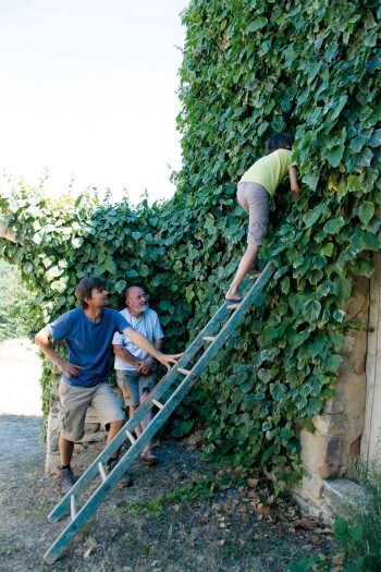 Tanguy Stoecklé réconcilie les propriétaires avec les chauves-souris Cohabiter avec les chauves-souris, c'est possible!