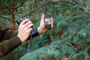 Les applications smartphone imitant le chant des oiseaux ne sont pas si anodines que cela. Les applications smartphone imitant le chant des oiseaux ne sont pas si anodines que cela.