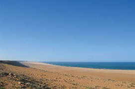 Les milans noirs ont réussi leur traversée du Sahara. Enfin la mer ! Un passage encore plus difficile à franchir. / © Jérôme Gremaud