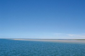 Les milans noirs traversent la méditerrannée par un itinéraire le plus court possible. / © Jérôme Gremaud