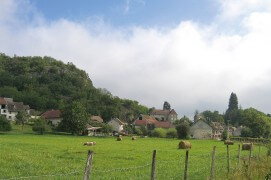 Les milans ont encore du chemin à parcourir pour atteindre leur zone de nidification. / © Jérôme Gremaud