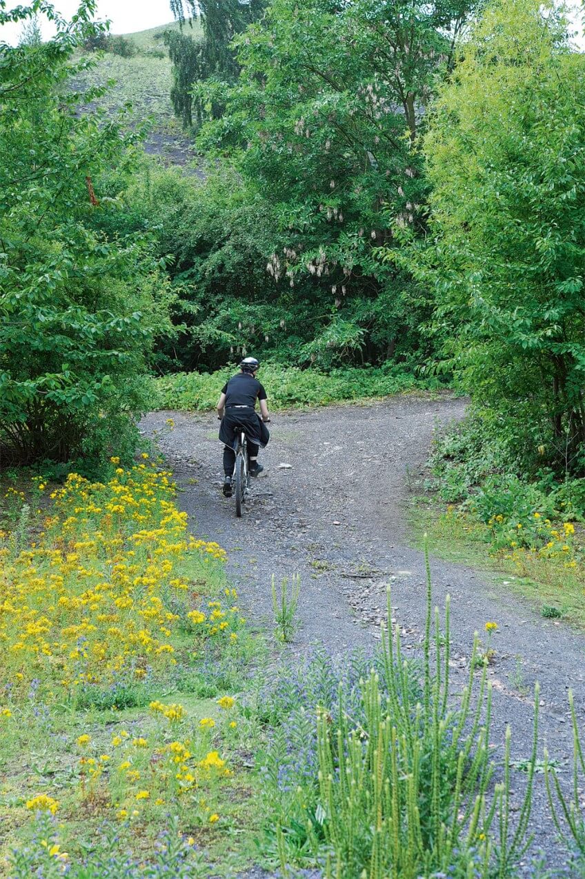 Les terrils offrent maintenant de nombreuses possibilités pour les randonneurs et amateurs de vélo. Les loisirs dans les Terrils
