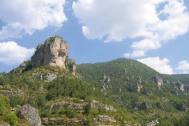L'Europe, enfin ! Les milans sont parvenus à franchir la mer. / © Jérôme Gremaud