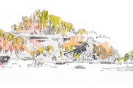 Limicole / © Denis Clavreul