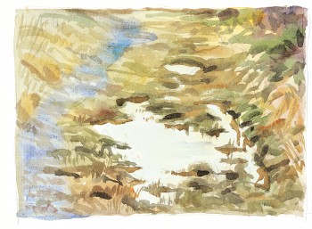 Mare temporaire dessin de flaque