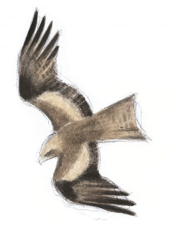 Milan noir / © Pierre Baumgart