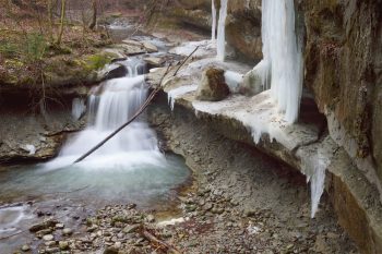 Mouvements fluides ou glace figée, la vallée du Gottéron se dévoile, sauvage et romantique.
