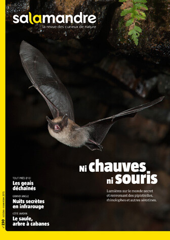Couverture de La Salamandre n°230