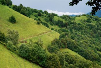 Pâturages et forêts entre la Valle di Muggio et Sasso Gordona