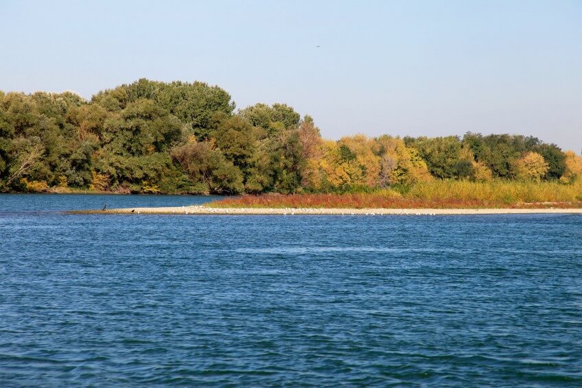 Paysage observé par les enfants durant…