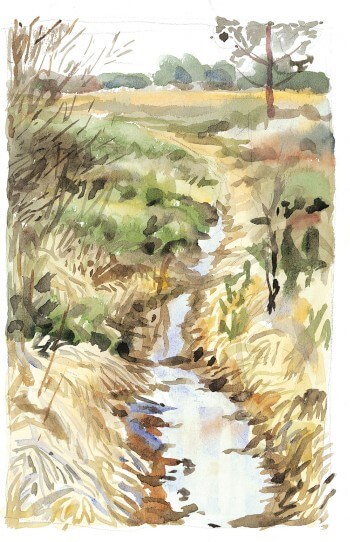 Petit bras de rivière temporaire Petit bras de rivière temporaire