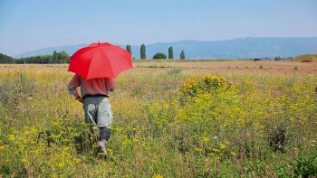 Philippe Grand dans sa friche d'exploration Philippe Grand dans sa friche d'exploration