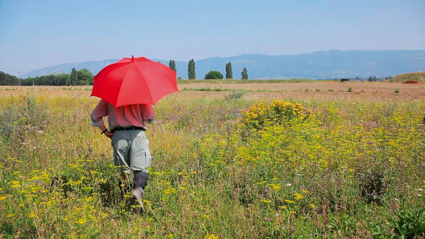 Philippe Grand dans sa friche d'exploration