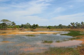 Points d'eau et verdure attirent comme un aimant les oiseaux migrateurs venus passer l'hiver en Afrique. / © Jérôme Gremaud