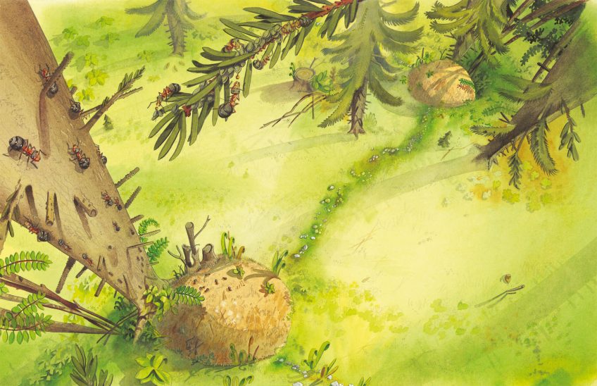 Dessin sur le travail des fourmis