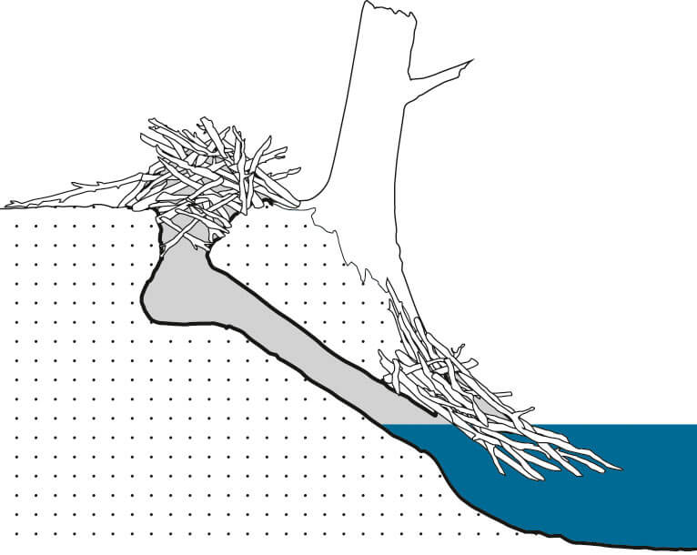 Terrier-hutte Terrier-hutte de castor
