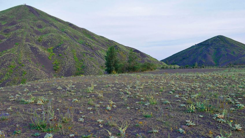 Terrils de Loos-en-Gohelle