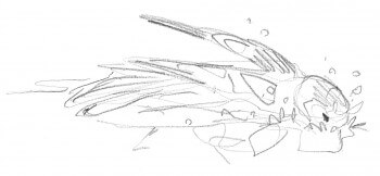 « Un mâle de pinson des arbres au bain. » / © Sylvain Leparoux