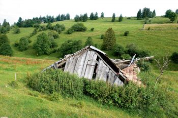 Un pâturage à l'abandon est rapidement conquis par des friches avant de laisser place à la forêt, moins riche en espèces. Un pâturage à l'abandon est rapidement conquis par des friches avant de laisser place à la forêt, moins riche en espèces.