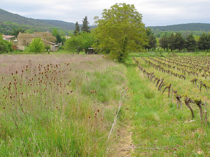 Déprise agricole