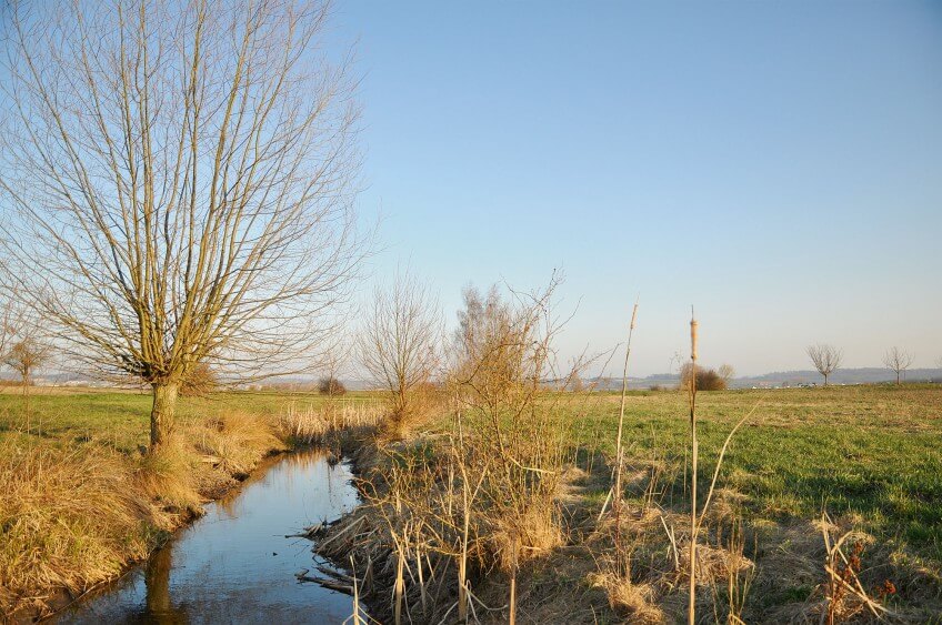 Zones humides et plaines agricoles se côtoient dans le Seeland. Photo du seeland
