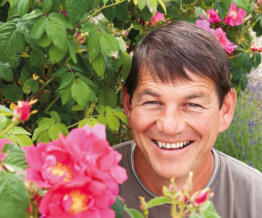 Alain Tschanz rosiériste