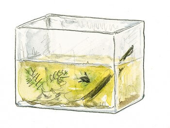 Aquarium La mare de A à Z