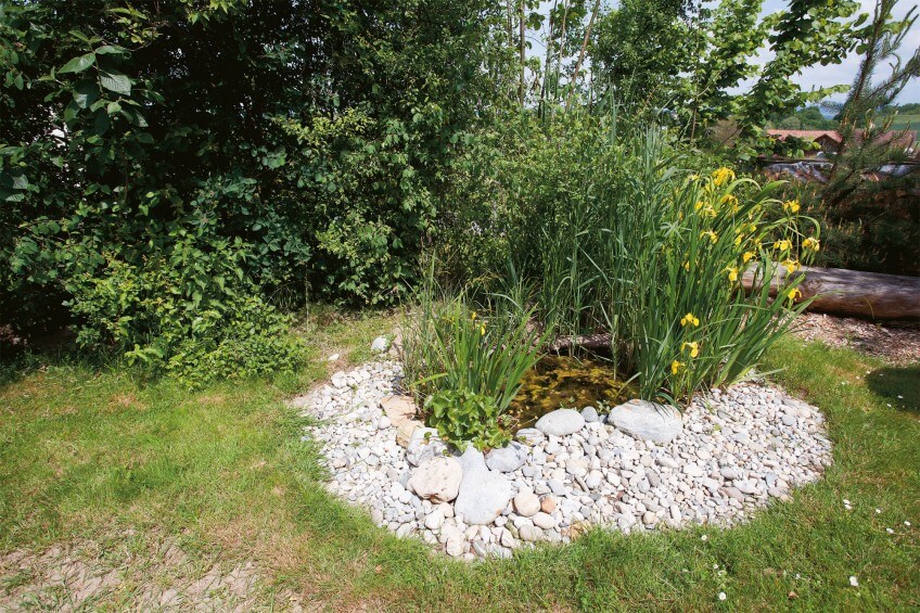 Aussi petite soit-elle, une mare au fond du jardin augmentera la biodiversité. La mare de A à Z