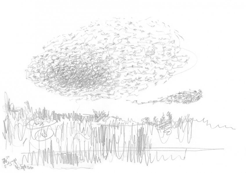 Dessin nature étourneaux en vol