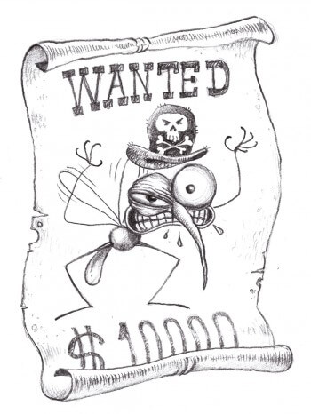 Dessin humoristique sur le moustique tigre recherché