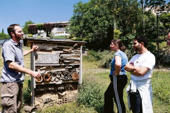 « Certains handicapés sont très intéressés, posent beaucoup de questions. Et d'autres demeurent en retrait. Mais ce qui est certain, c'est qu'on observe une réelle évolution de leur savoir sur la nature. » 
Julien Roi, 
Villeton, 
16 mai 2011 « Certains handicapés sont très intéressés, posent beaucoup de questions. Et d'autres demeurent en retrait. Mais ce qui est certain, c'est qu'on observe une réelle évolution de leur savoir sur la nature. » 
Julien Roi, 
Villeton, 
16 mai 2011
