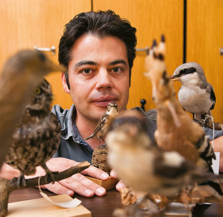 Photo Laurent Vallotton