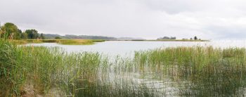 La Baie d'Ostende que l'on découvre depuis la plage de Gletterens est l'un des fleurons de la Grande Cariçaie. La Baie d'Ostende que l'on découvre depuis la plage de Gletterens est l'un des fleurons de la Grande Cariçaie.