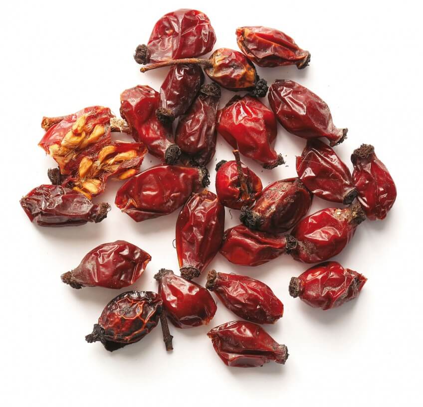 La majorité des graines récoltées au Chili sont issues de Rosa rubiginosa, le rosier églantier, qu'on appelle rose musquée en cosmétique. La véritable rose musquée est en fait une autre espèce (Rosa moschata), ce qui rajoute encore quelques épines dans la nomenclature des rosiers ! cynorrhodon séché photo