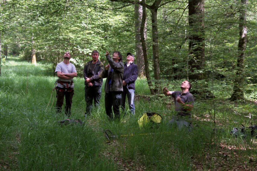 L'équipe des bagueurs observent le nid de la cigogne noire. Face au donjon de la cigogne noire