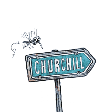 Dessin humoristique sur comment se faire piquer par un moustique