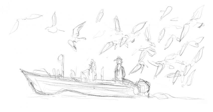 Dessin nature mouette rieuse