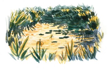 Mare sous le soleil couchant La mare de A à Z