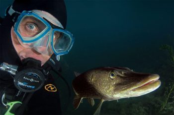 Michel Lonfat posant avec Saturnin, la femelle brochet qu'il connaît presque par cœur. Michel Lonfat posant avec Saturnin, la femelle brochet qu'il connaît presque par cœur.