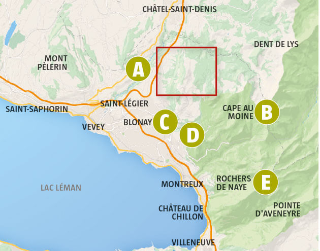 Pléiades, narcisse au pays des merveilles