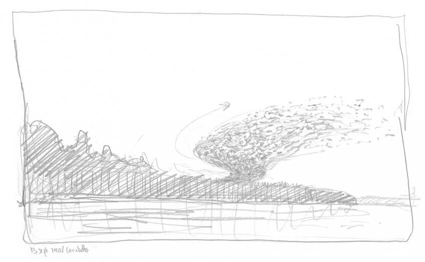 Nuée d'étourneaux Dessin nature étourneaux en vol