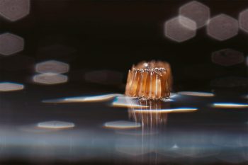 On devine dans la transparence de ces œufs du moustique Culex pipiens les larves près d’éclore, tête en bas. 