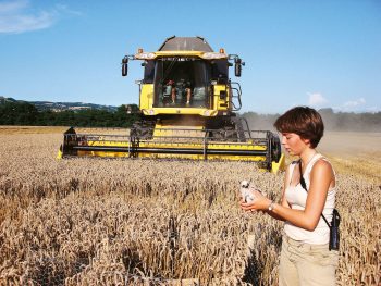 Opération de sauvetage des nichées de busard cendré. Opération de sauvetage des nichées de busard cendré.